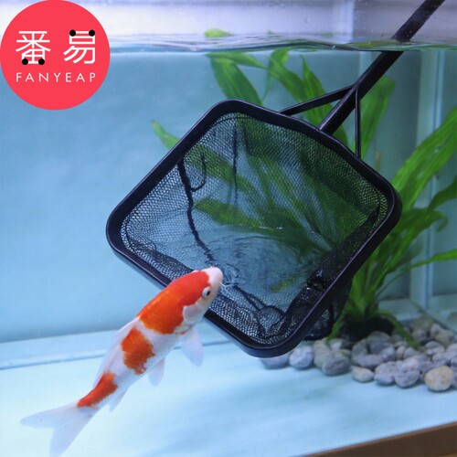 渔捞/小C1pn700-鱼缸捞鱼网兜金鱼观赏鱼渔网捞鱼缸家用捞鱼网