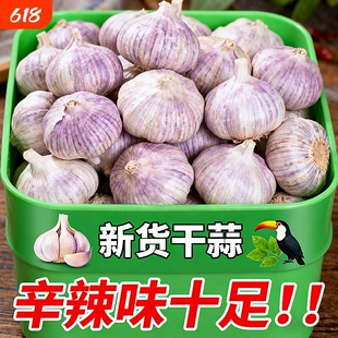 【冲量价】正宗山东大蒜头优质特大蒜王新鲜紫白皮便宜干蒜包邮发