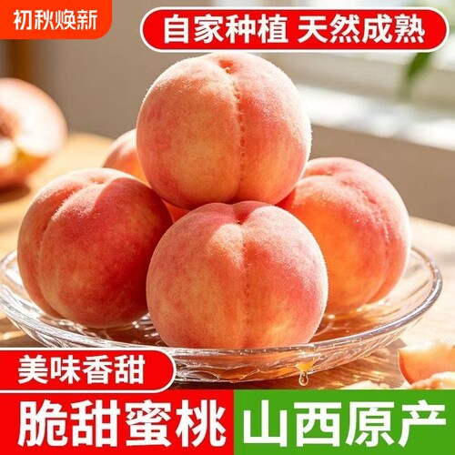 正宗水蜜桃新鲜脆桃桃子当季水果应季孕妇毛桃整箱批发现摘脆甜