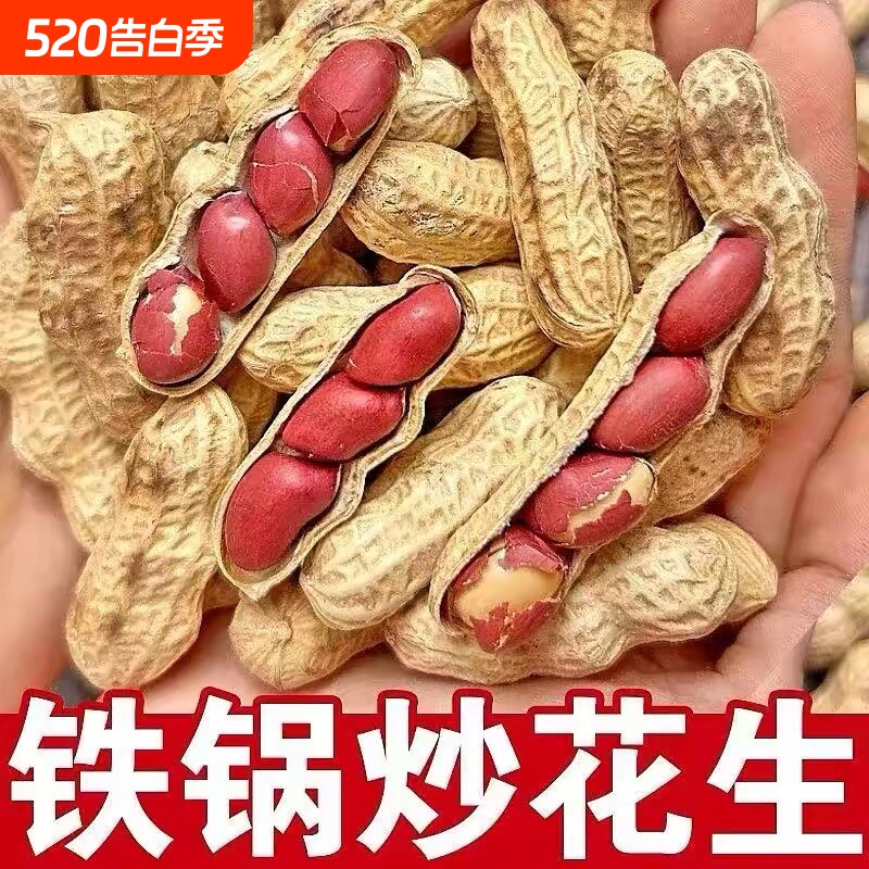炒红花生带壳原味2025四粒红皮熟花生新货现炒河南铁锅柴火炒花生