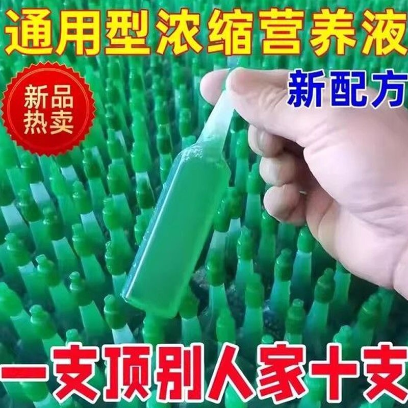 家用盆栽植物绿萝营养液发财树富贵竹水培花卉通用型绿植养花肥料