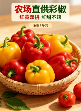 《五彩甜椒》正宗五彩椒彩椒圆椒辣椒灯笼椒红黄水果蔬菜不辣