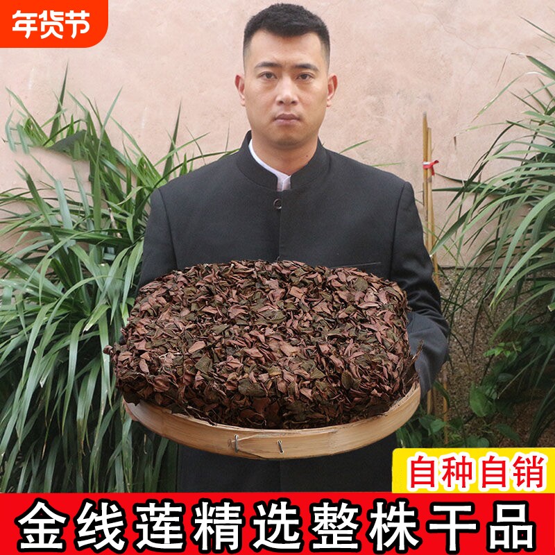 福建金线莲官方旗舰店种植干货野生中药材滋补养生茶新鲜紫背功效