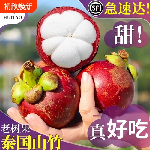 泰国进口山竹5斤新鲜5A顺丰速发