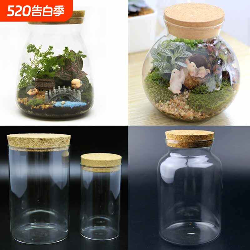带木塞微景观生态瓶diy多肉植物玻璃瓶圆柱形苔藓制作容器储物罐