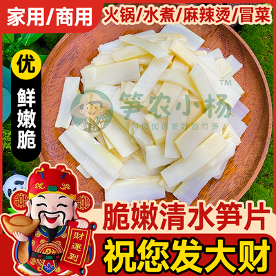 清水笋片脆笋尖冬笋玉兰片竹笋新鲜500g袋装火锅麻辣烫商用批发