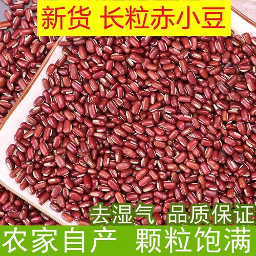 新货赤小豆农家自产长粒五谷杂粮