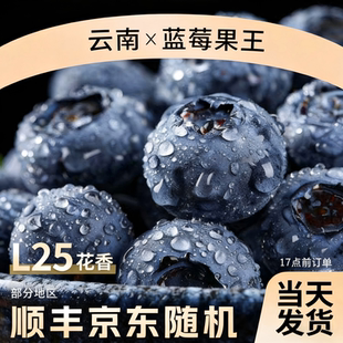 云南花香蓝莓新鲜水果当季鲜果现摘L25高山孕妇顺丰京东包邮