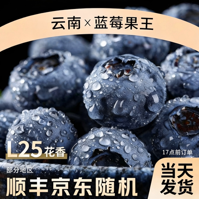 【花香蓝莓】云南当季水果