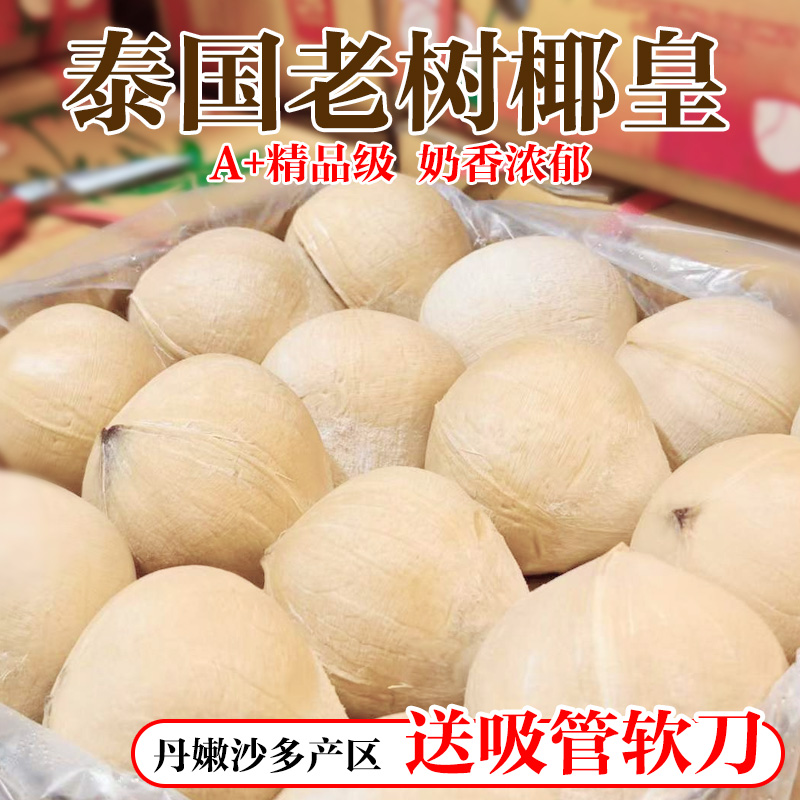 泰国丹嫩沙多进口小奶椰皇香水椰煲鸡汤老椰子孕妇新鲜水果包邮