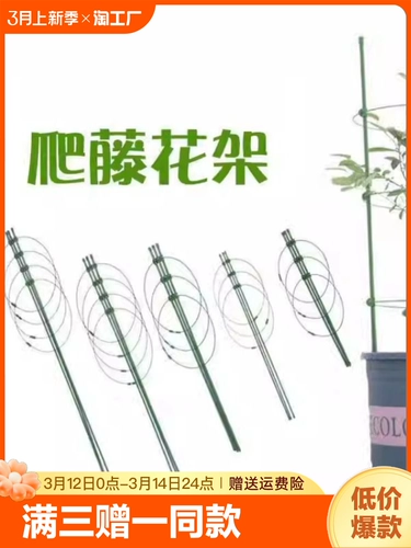 Садоводная лазание виноградная виноградная лоза Сстав