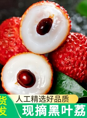 黑叶荔枝新鲜现摘5斤老树果正宗水果当季整箱妃子笑白糖桂罂味