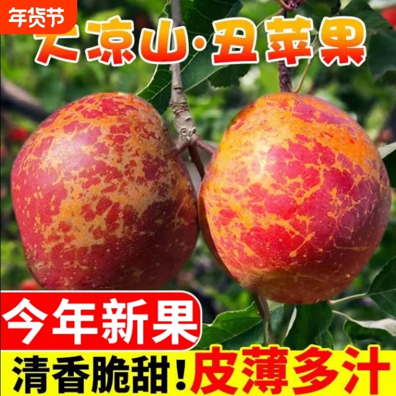 大凉山丑苹果新鲜当季现摘盐源糖心红富士脆甜原生态水果年货节,水产肉类/新鲜蔬果/熟食,苹果,淘宝优惠券,粉丝福利购,淘宝优惠卷