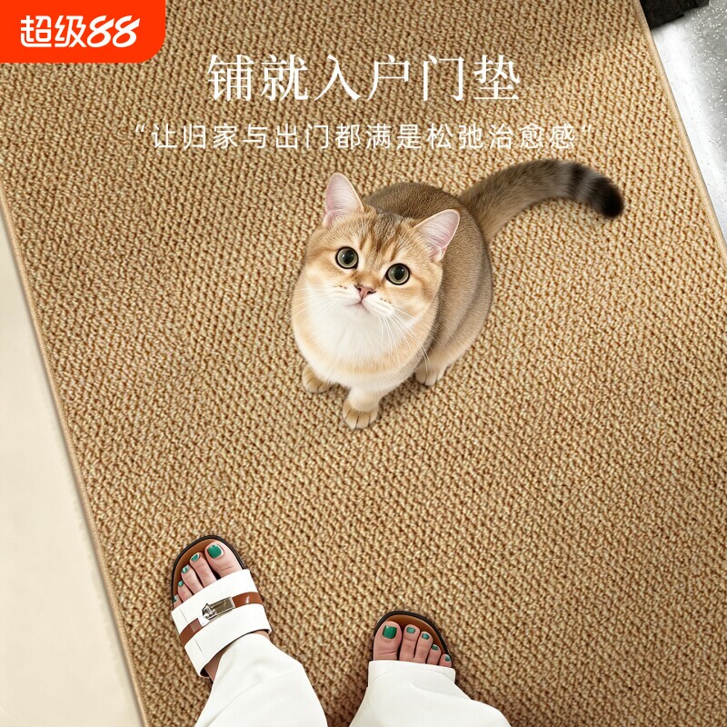 入户门剑麻地毯地垫2026仿防滑进门口脚垫可裁剪门垫入门电梯室内图片