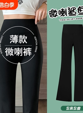 黑色微喇阔腿裤女灰色鲨鱼裤卫裤高腰显瘦2026新款喇叭裤子薄款
