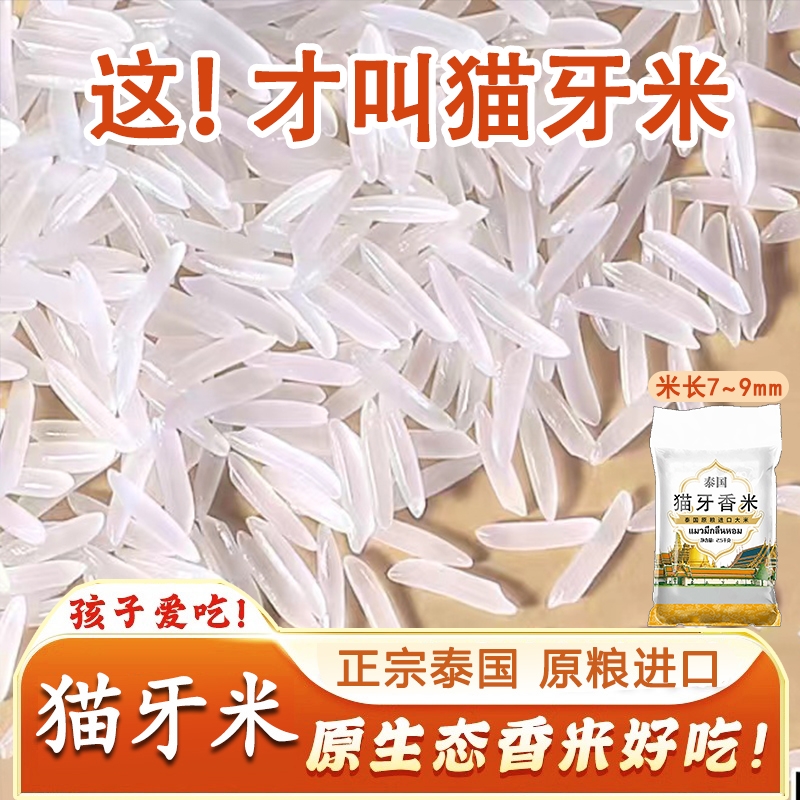 正宗泰国米长粒香猫牙米