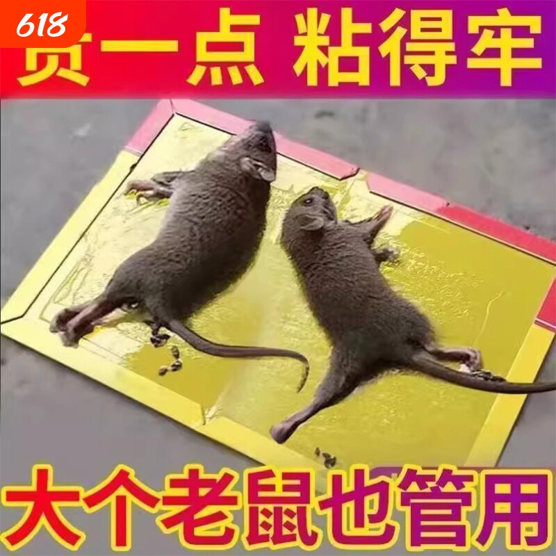 老鼠贴强力粘鼠板超强家用大老鼠万能引诱捕捉耗子粘胶捕鼠
