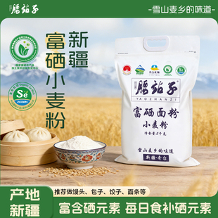腰站子新疆奇台富硒小麦粉10斤馒头包子面条面食烘焙家庭通用粉