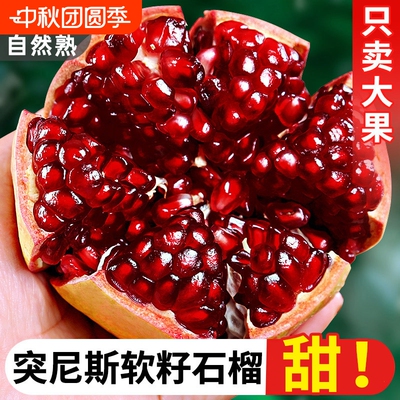 正宗四川会理突尼斯软籽石榴新鲜孕妇水果应当季4.5斤250g+礼盒装