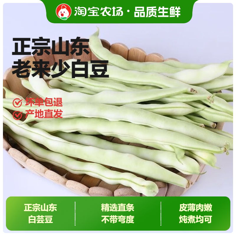 白芸豆山东新鲜九粒白不老芸豆时令蔬菜脆嫩无丝鲜嫩好吃产地直发