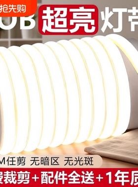 led灯带超亮220v户外防水自粘线性灯客厅氛围吊顶工程cob软灯条