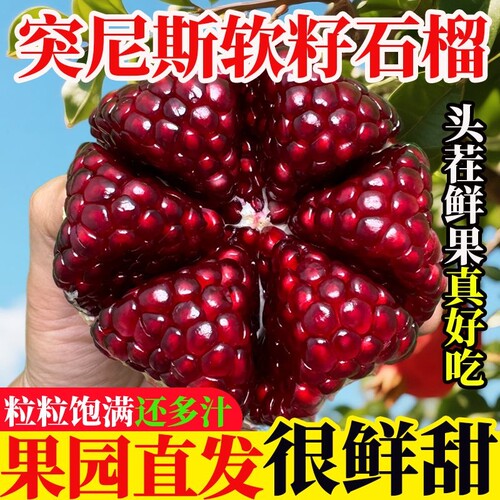 会理突尼斯软籽石榴9斤当季