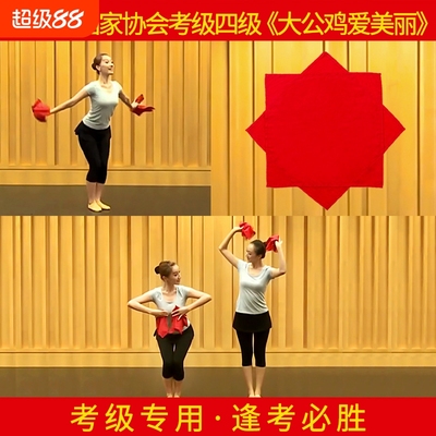 舞蹈手绢花儿童考级专用东北秧歌