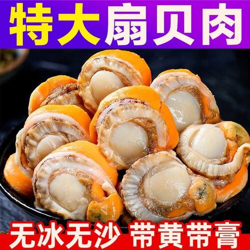 【顺丰】扇贝肉特大号现剥扇贝肉新鲜速冻无沙带黄火锅商用批发