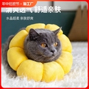 伊丽莎白圈猫咪项圈狗脖圈圈防舔除跳蚤宠物头套围脖用品绝育