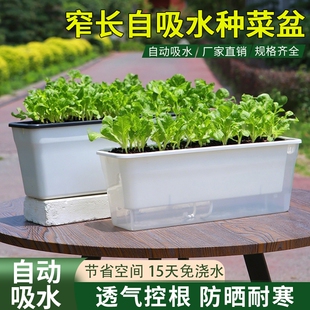 种葱阳台种菜盆蔬菜专用种植箱超窄窗沿边长方形花盆透明懒人神器