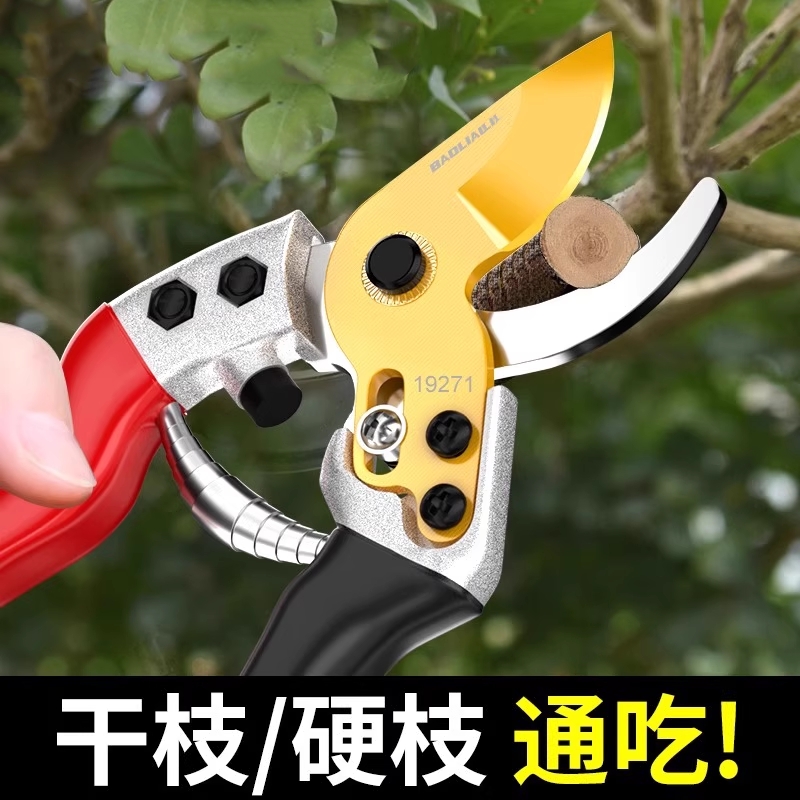 德国进口剪枝剪刀园林专用修枝剪果树粗大花剪园艺树枝剪子修剪