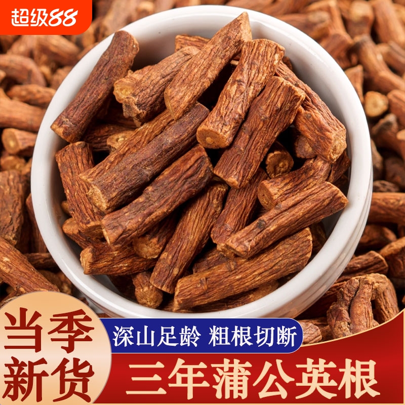 野生蒲公英根茶中药材正品长白山蒲公英整根新茶干蒲公英茶大根