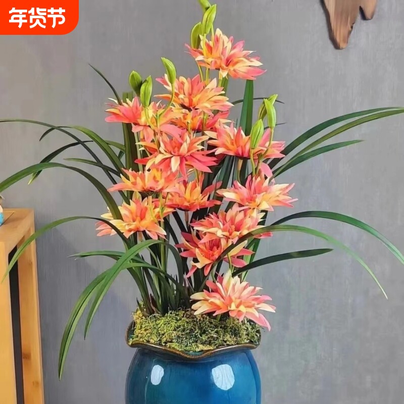 兰花建兰 富山奇蝶 浓香型奇花 室内办公室盆栽 花卉