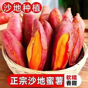 新鲜地瓜沙地番薯板栗红薯黄心蜜薯超甜农家自种蔬菜软糯香甜