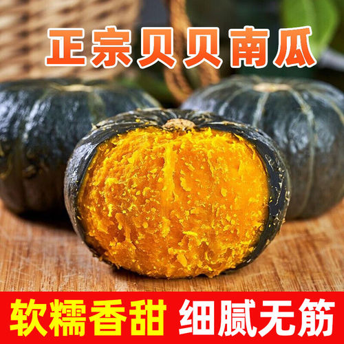 贝贝南瓜粉糯新鲜板栗味
