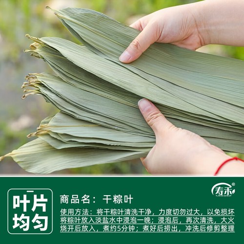 干粽叶新鲜粽子叶大号棕叶家用竹叶包粽子的粽叶特大码叶子斑斓叶