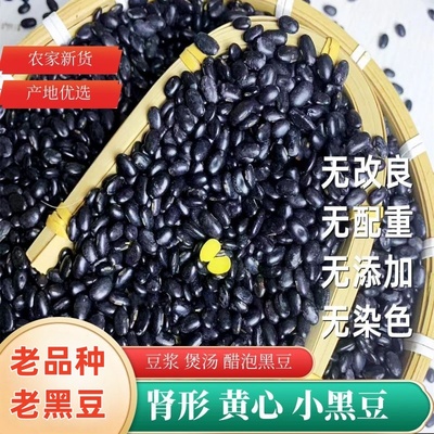 现货农家肾型扁黑豆肾形黄芯小黑豆黄心老品种雄黑豆醋泡打豆浆