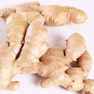 【姜农自种】农家小黄姜生姜批发现挖新姜嫩姜老姜仔姜月子姜沙姜