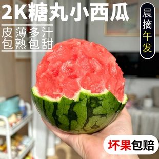 当季新鲜水果现摘2k西瓜网红小糖丸西瓜麒麟西瓜冰淇淋甜整箱包邮