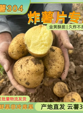 云薯304土豆炸薯片专用炸土豆片新鲜高山黄心马铃薯洋芋当季好吃
