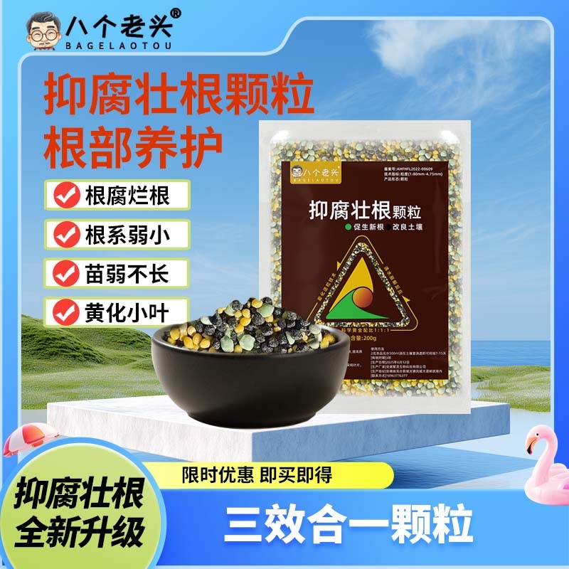 八个老头抑腐壮根颗粒