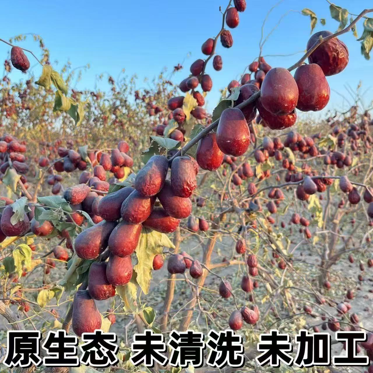 新疆红枣原生态灰枣带土未加工0添加孕妇和田大枣子特产干果零食