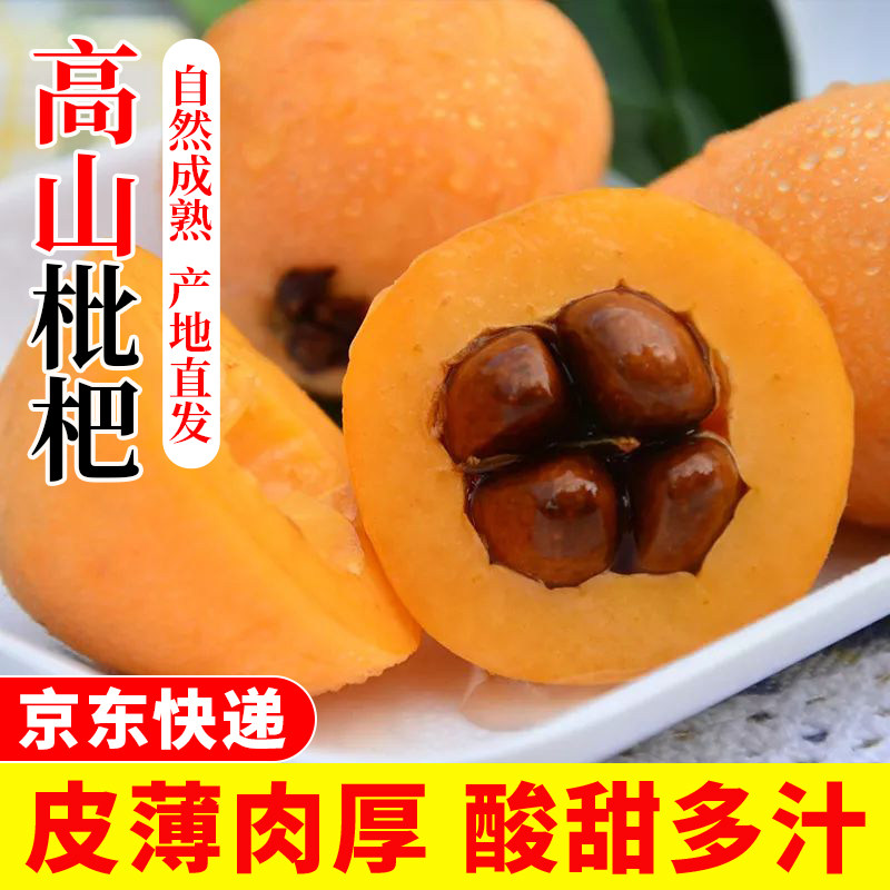 【京东快递】四川汉源枇杷高山大五星枇杷酸甜口感新鲜现摘发货