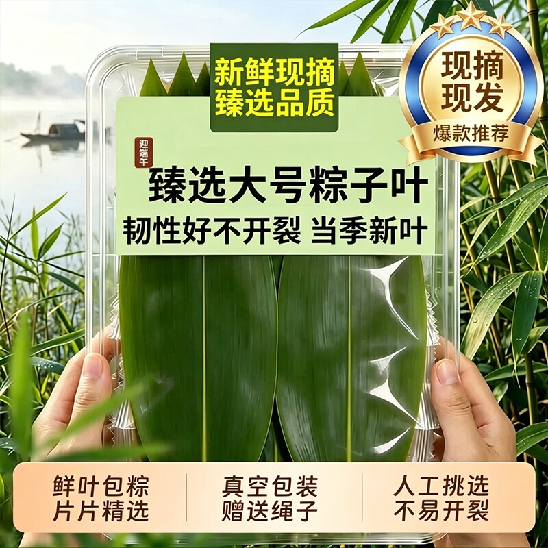 粽叶粽子叶新鲜大号端午节现摘特大野生粽叶家用包粽子专用