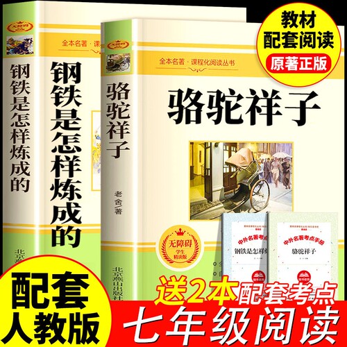 骆驼祥子和钢铁是怎样练成的七下