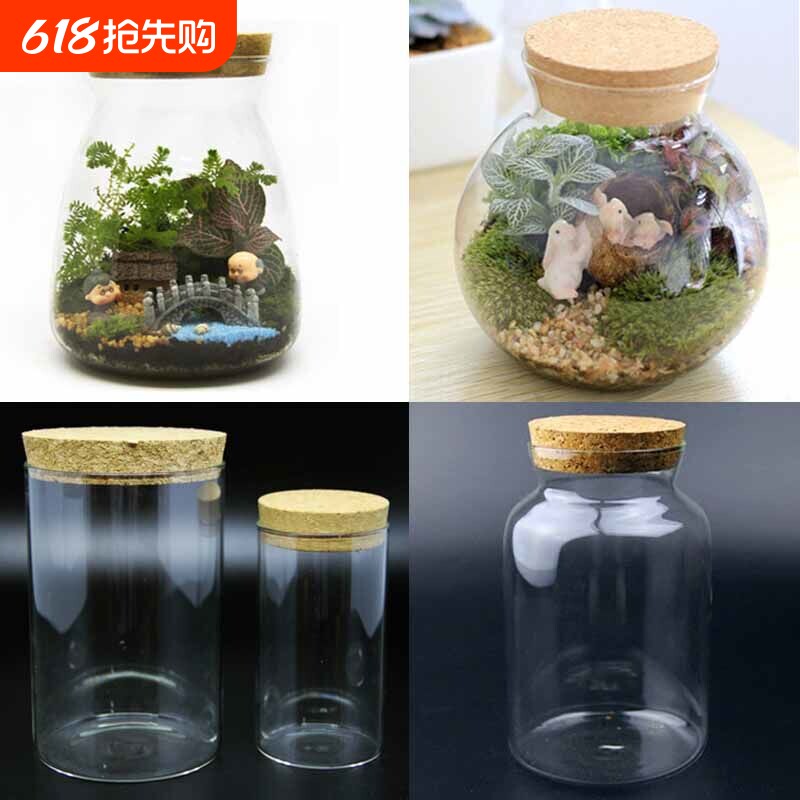 带木塞微景观生态瓶diy多肉植物玻璃瓶圆柱形苔藓容器储物罐闺蜜