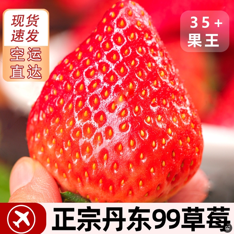 辽宁丹东99草莓新鲜红颜奶油草莓东港马家岗九九牛奶大草莓礼盒装