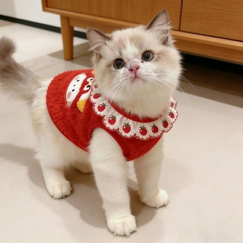 猫咪衣服小猫新年过年喜庆冬装加厚保暖毛绒宠物背心防掉毛布偶猫