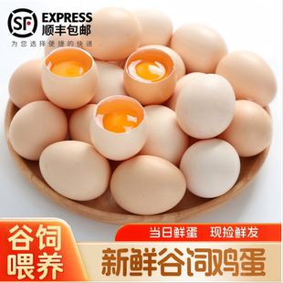 【顺丰包邮】谷物喂养鲜鸡蛋新鲜直达锁住本味蒸煮煎炒百搭食材