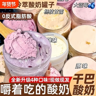 干噎酸奶正品希腊冷萃酸奶球干巴干嚼固体杨枝甘露石膏官方旗舰店